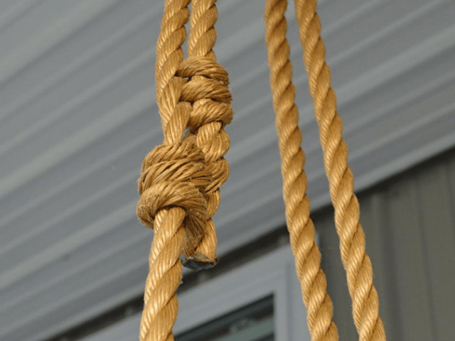 Traditional English Red Cedar Twin Size Swing Bed