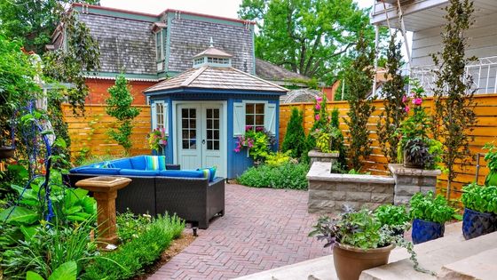 Tips for Adding More Color to Your Backyard