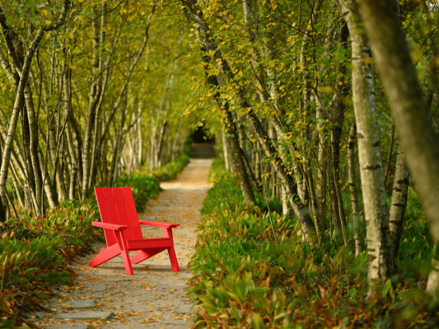 Adirondack Deck Chairs